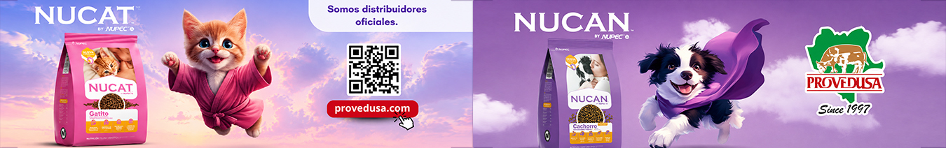 Proveedusa