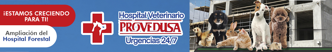 Proveedusa